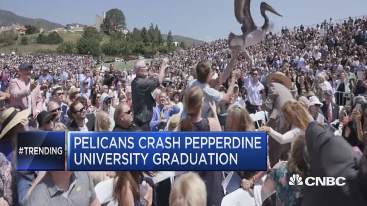 Pelicans crash Pepperdine University graduation