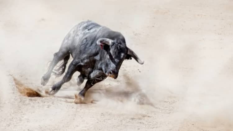 Secular bull market is not over despite short-term volatility says expert