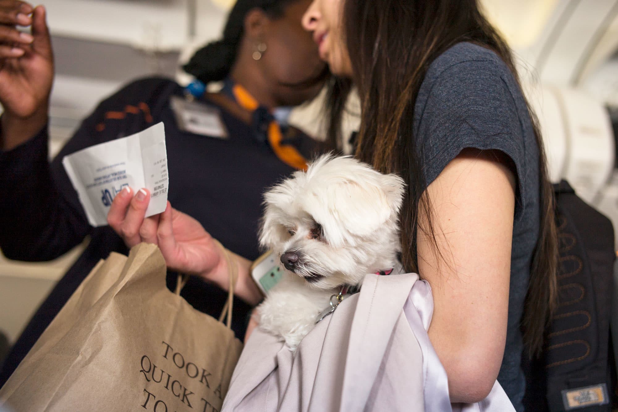 JetBlue's tightens rules for emotional support animals