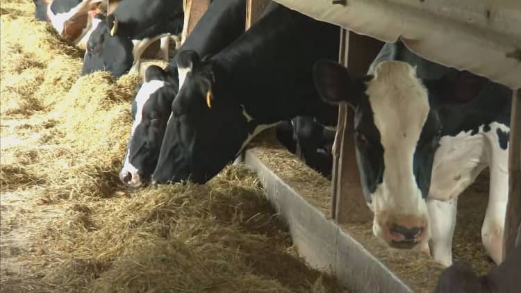 Got milk? Dairy farmers getting squeezed out of changing market