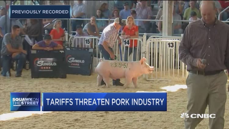Exports are important part of the industry, says pork farmer