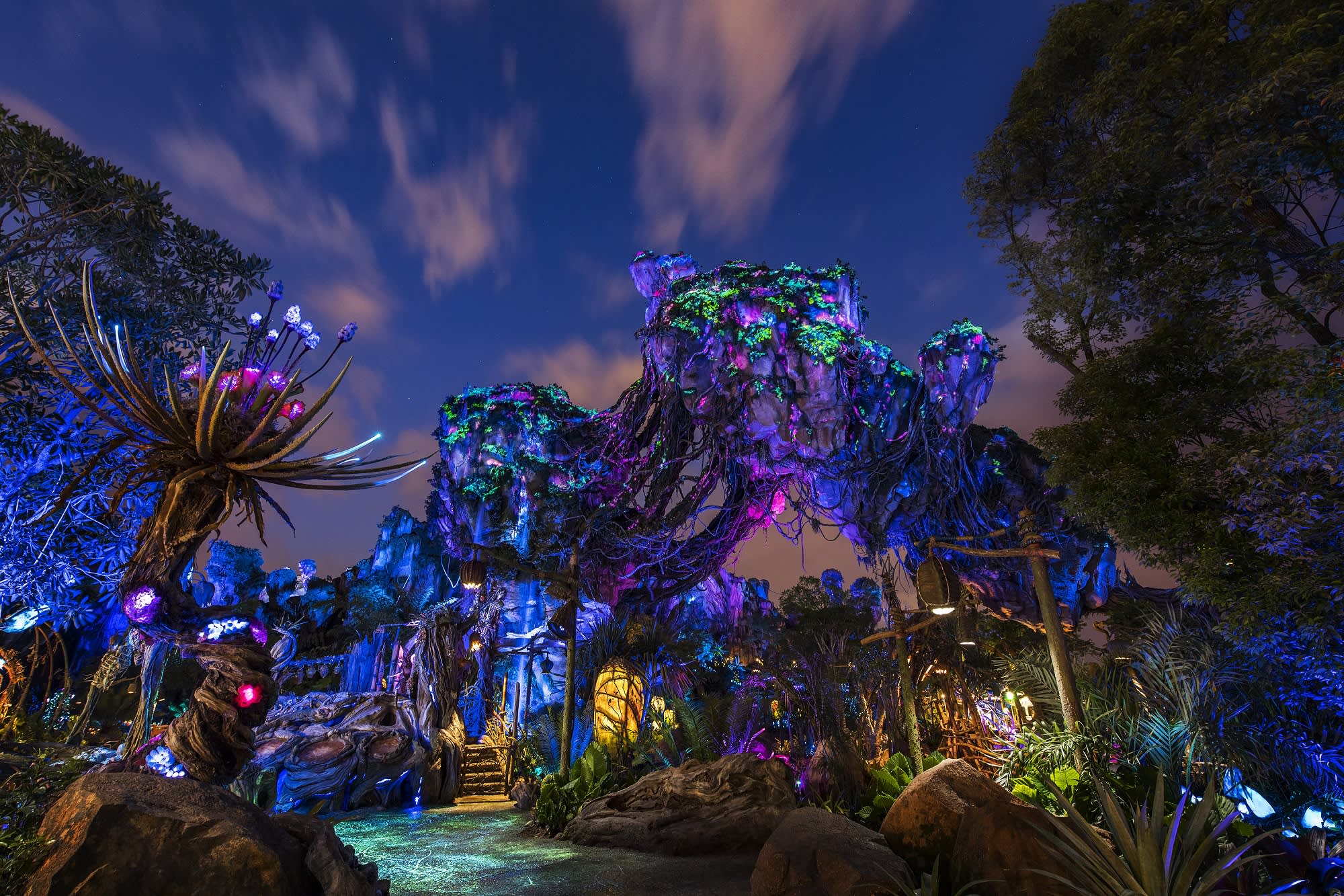Win contest stay at Disney Avatar attraction