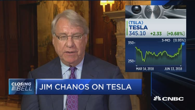 Chanos on Musk: He's making cars at not enough gross margin to make money