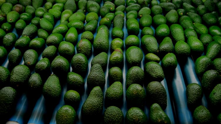 This start-up has found a way to make your avocados stay ripe for twice as long