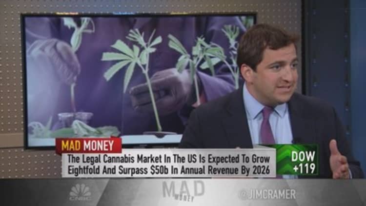 Founder of cannabis play says anti-marijuana laws create 'a moat' around business