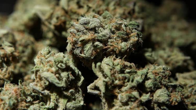 California marijuana retailers brace for supply delays