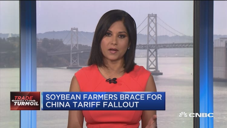 Soybeans feel the impact of trade war with China