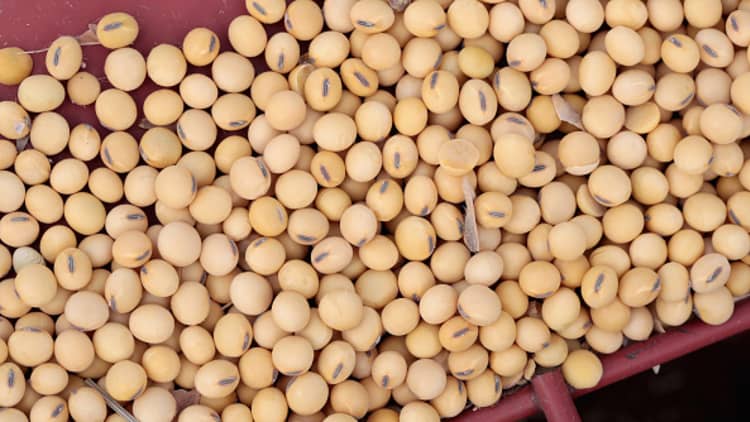 China targets US soybeans