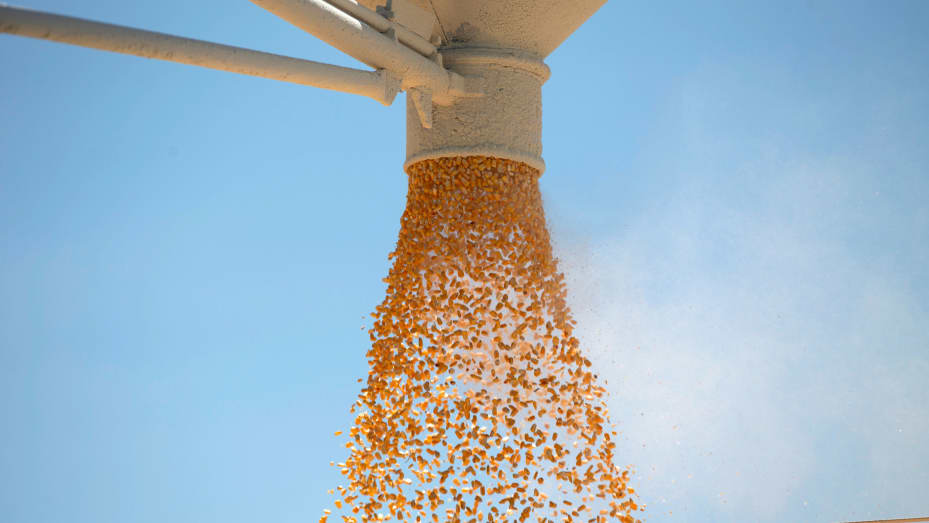 Corn is loaded onto a truck as a silo is emptied at a farm in Illinois.
