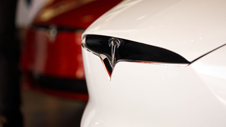 Short Tesla, long internal combustion engine automobiles says Atlantic Investment CIO