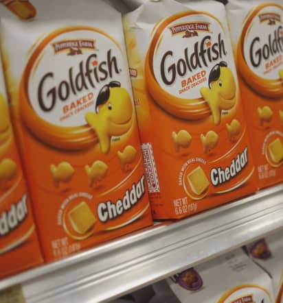 Pepperidge Farm recalling Goldfish because of salmonella risk