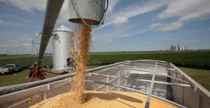 Farm states slammed by double whammy of US-China trade war and immigration woes