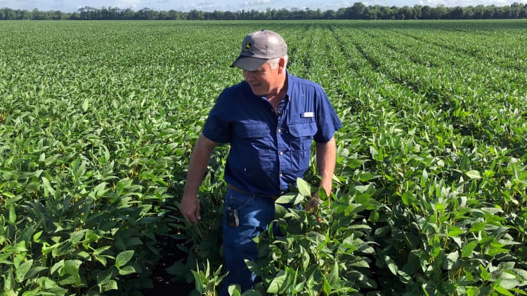 The trade war has been devastating for soybean farmers: Farmer