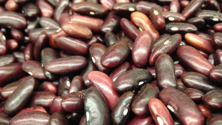 Kidney bean farmer: We can't justify new investments with trade uncertainty