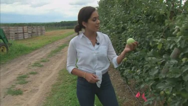 US Apple season to start soon, but farmers are worried