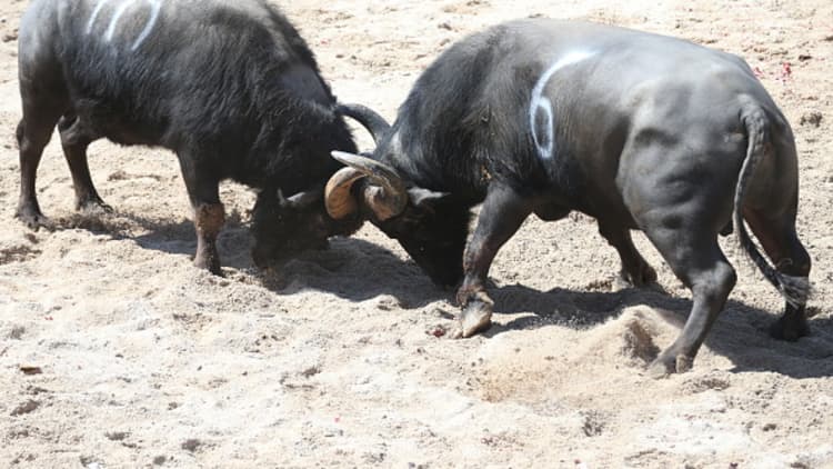 End of the road for the bull market? Maybe not