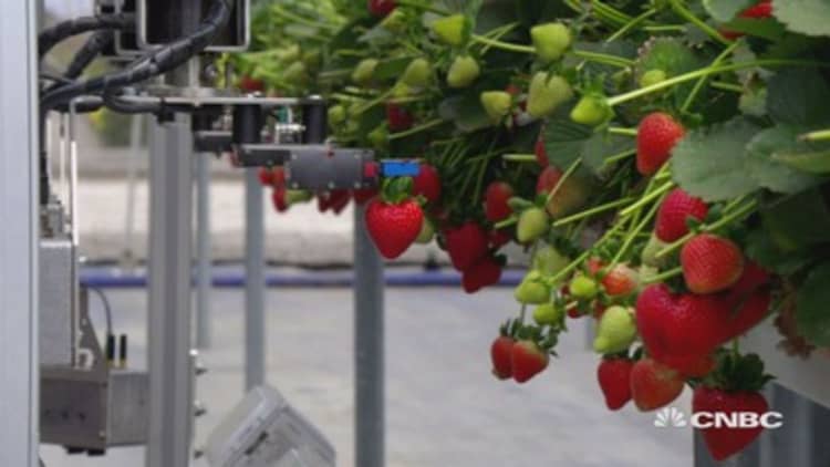 How tech is changing the way crops are farmed