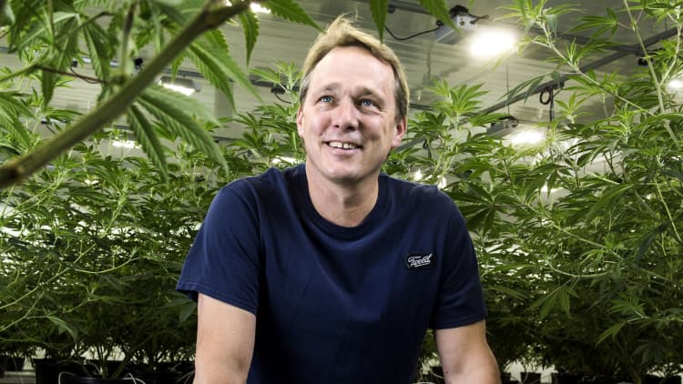 Canopy Growth CEO: Terrible job to be a beer or spirits CEO without a cannabis strategy now