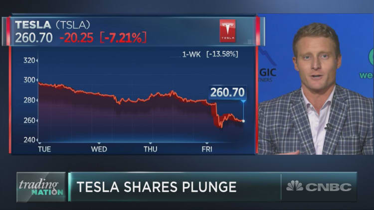 ‘I wouldn’t touch this thing with a 10-foot pole,’ money manager says of Tesla shares