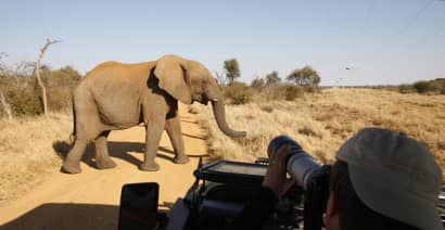 Charity CEO warns of the impact of Covid on conservation in Africa
