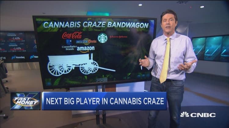 This is the next big industry to jump on the cannabis craze bandwagon, trader says