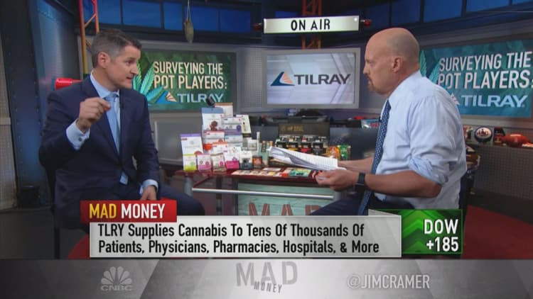 Investing in cannabis is 'a great hedge' for alcohol and drug companies, CEO of medical marijuana play Tilray says