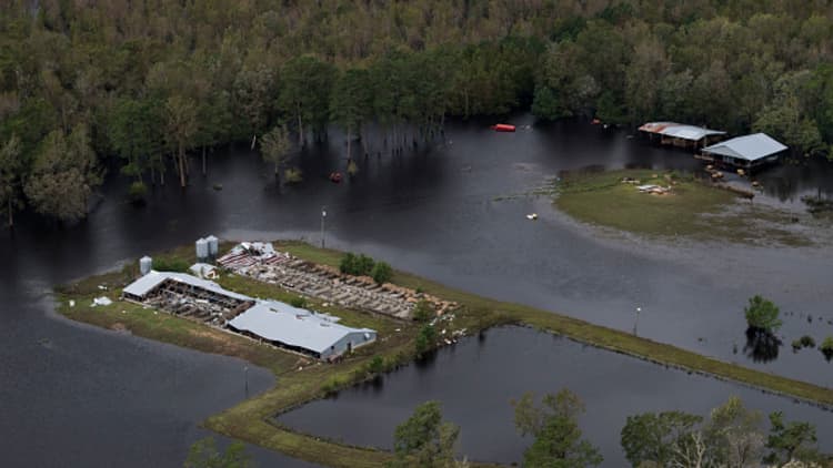 Florence's damage was 'worse than anticipated,' says South Carolina agriculture commissioner