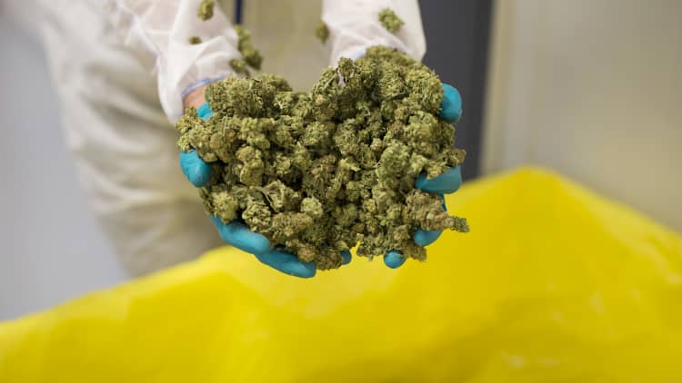 Marijuana stock Tilray soars 50 percent