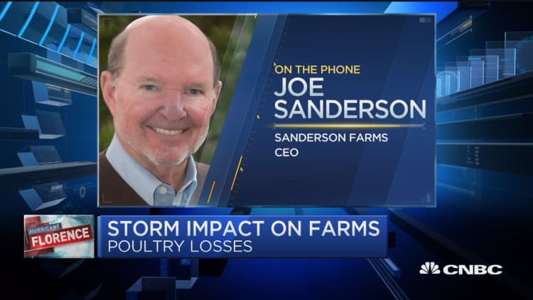 I don't think there will be a big spike in poultry prices due to Florence, says Sanderson Farms CEO