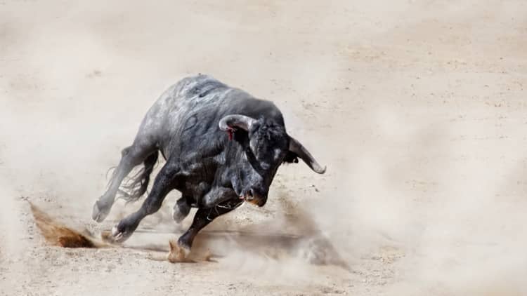 Is it too late to catch up to the big bull run investors are missing?