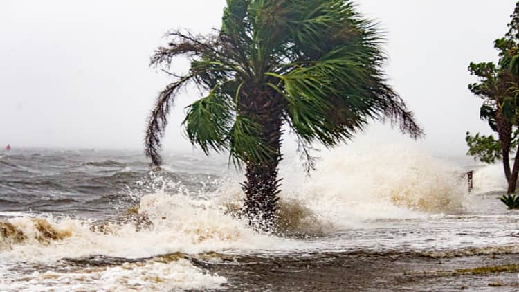 Hurricane Michael could result in $30 billion damage, says former FEMA deputy administrator