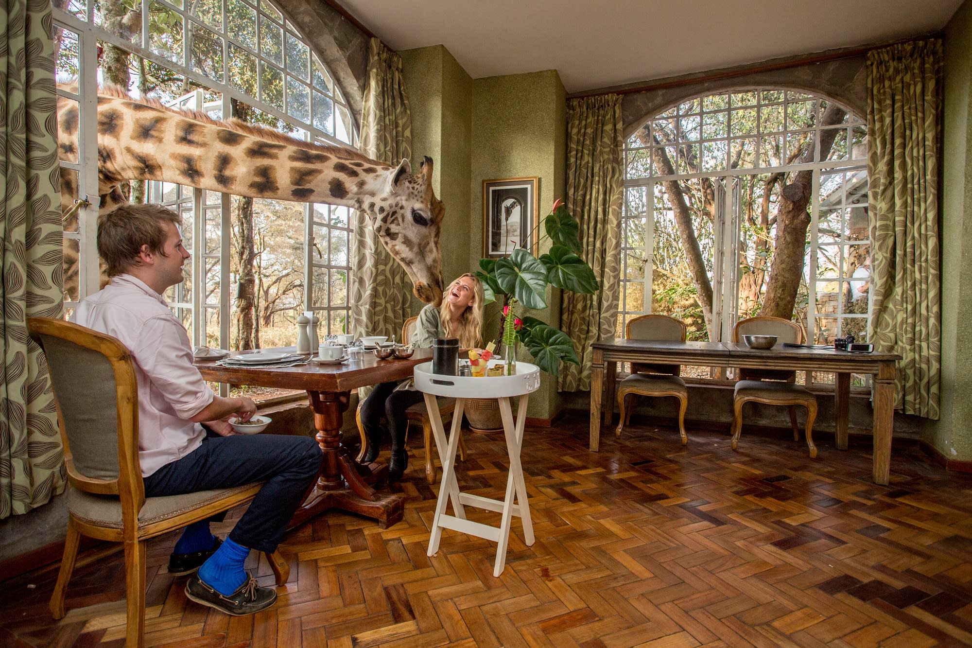 Best places to stay to see exotic animals