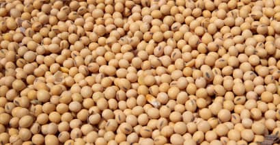 China tariffs hit the soybean harvest
