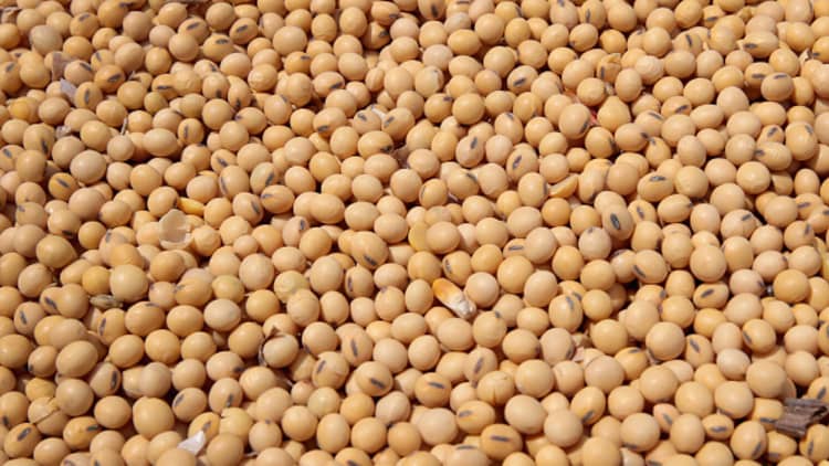 China tariffs hit the soybean harvest