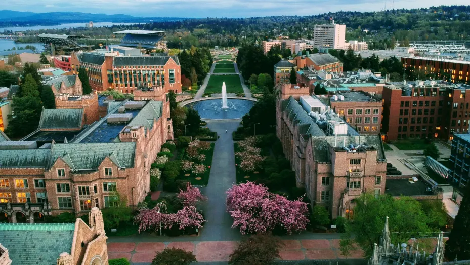 Top 10 Universities In The World | Expaat