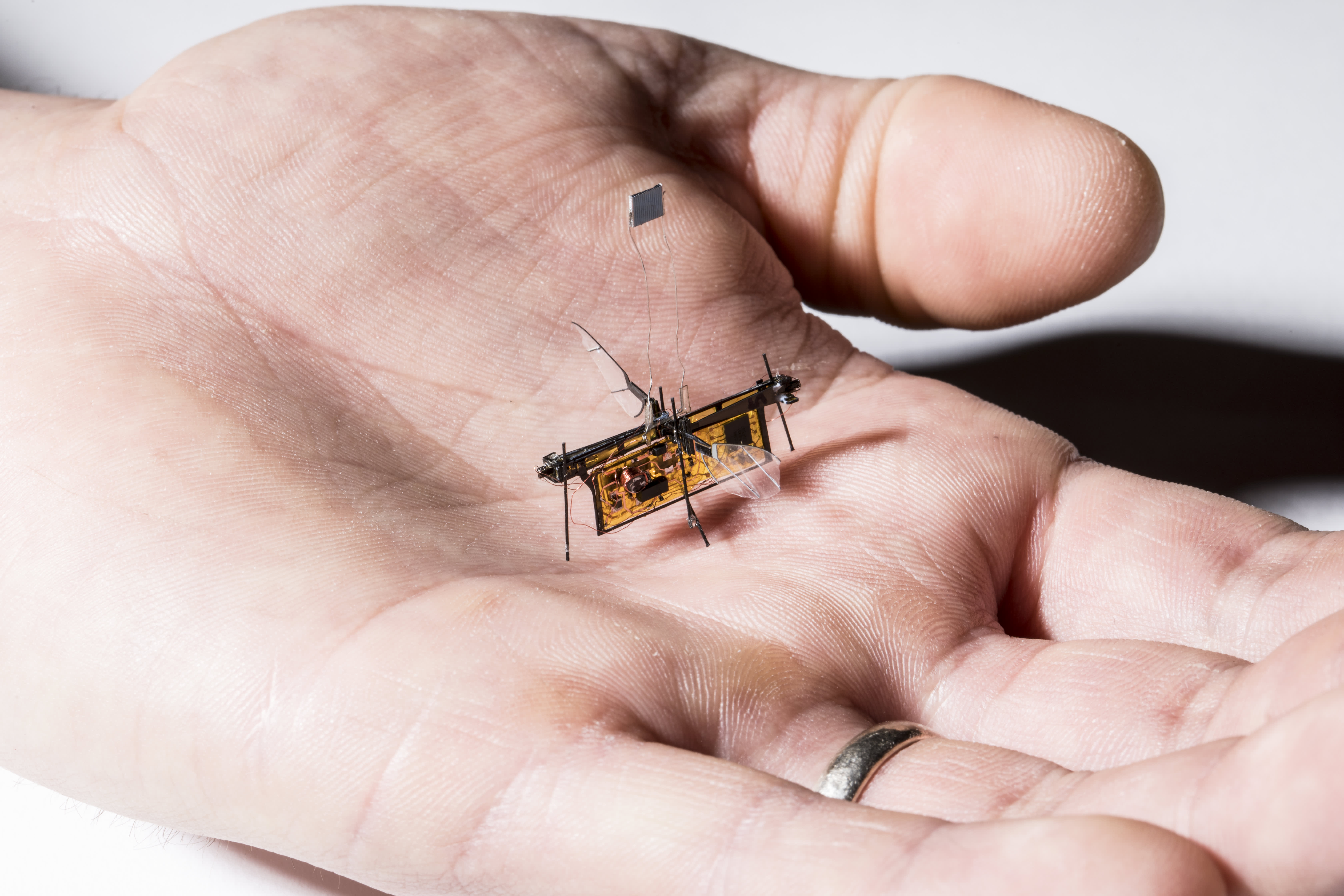 tiny flying robots