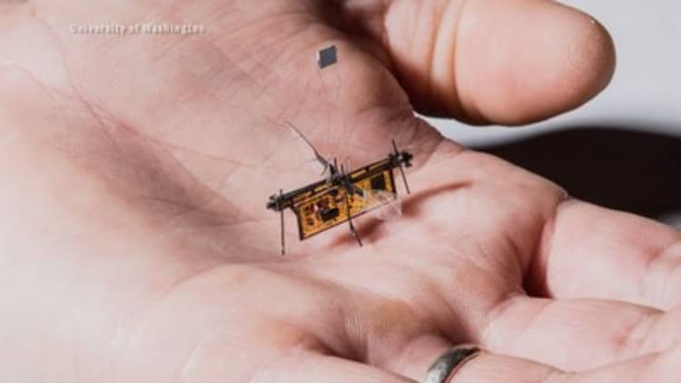 University of Washington engineers created the RoboFly, a small, flying robot that goes where humans can't