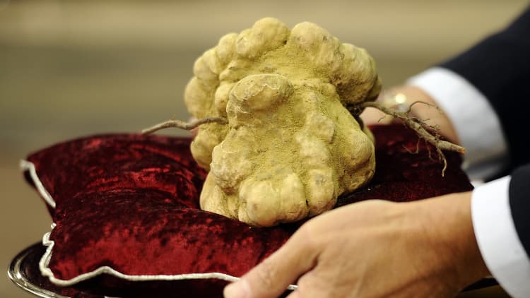 Someone paid $85,000 for 2 pounds of truffles, here's why