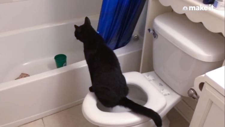 This 39-year-old has made millions toilet-training cats