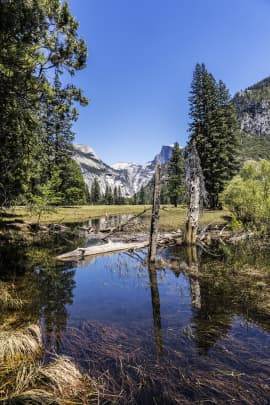 GP: Merced River and Half Dome in Yosemite National Park 181226 Asia
