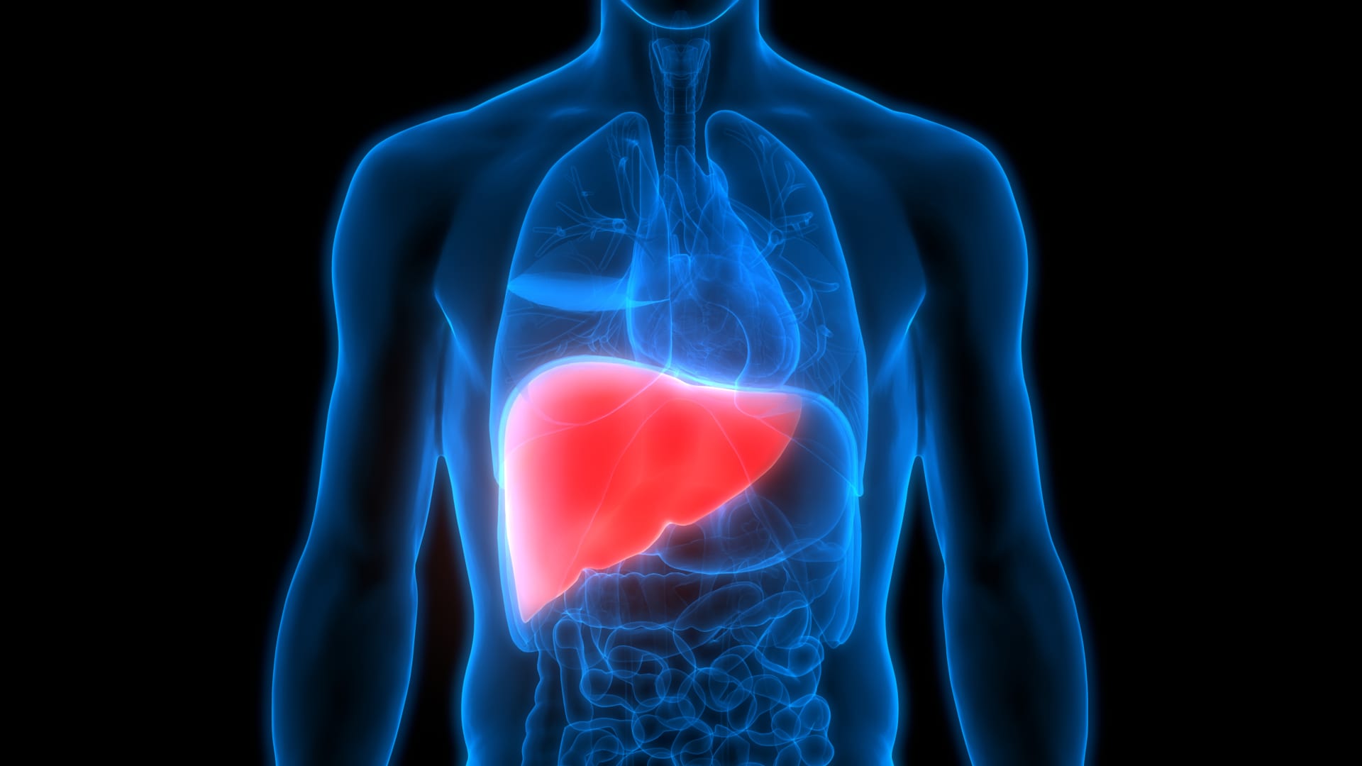 Healthy Returns: The first drug for a common, deadly liver disease is here – and more are coming