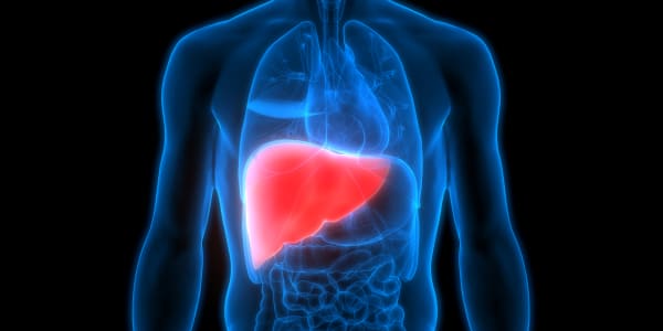 Healthy Returns: The first drug for a common, deadly liver disease is here – and more are coming