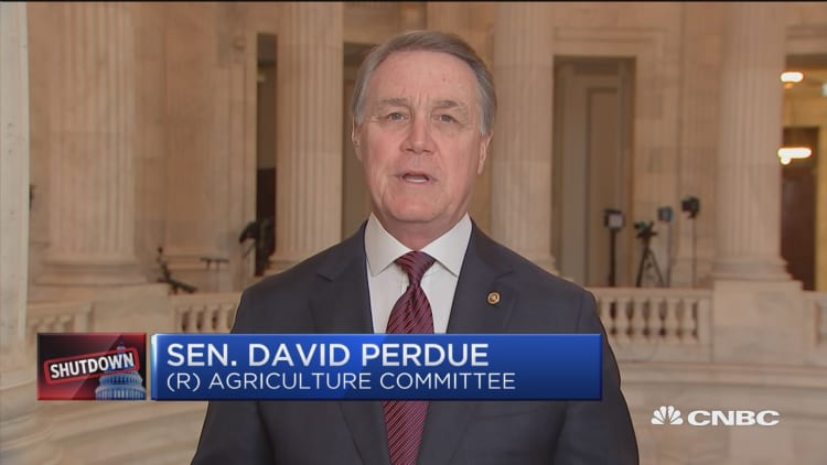 Sen. David Perdue on shutdown: Both parties are being 'totally irresponsible'