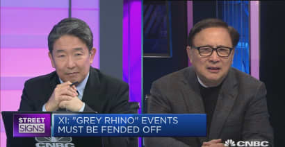 Investor: China's high level of debt is a 'grey rhino'