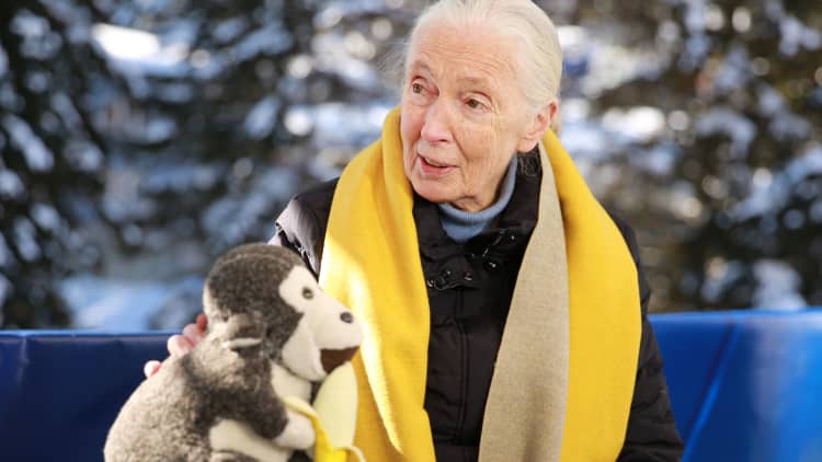 Jane Goodall on how she approaches her philanthropy