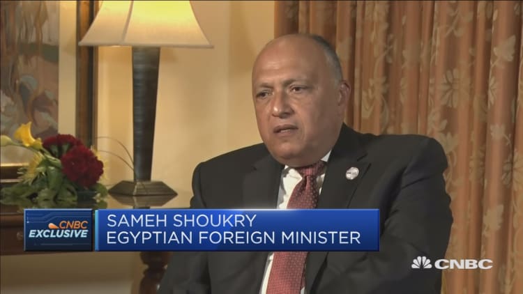 Egypt foreign minister: We're seeing the first returns of Egypt reforms