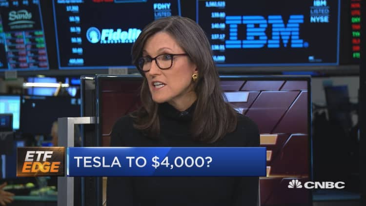 This is where Tesla heads next, top fund manager says