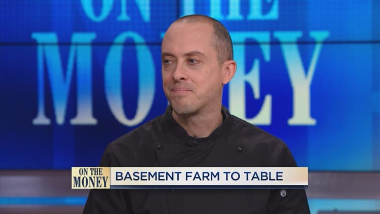Basement farm to table