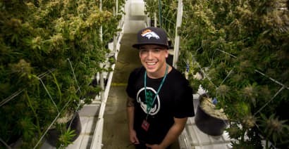 Meet the multimillionaire who's been called the 'Steve Jobs of cannabis'