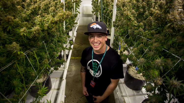 Meet the 32-year-old multimillionaire who's been called the 'Steve Jobs of cannabis'